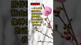 《菜根谭》为人处世的智慧 后集 234 心无物欲乾坤静，坐有琴书便是仙 #智慧 #每天進步一點點 #菜根谭