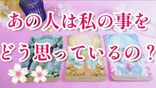 驚いた👀‼️あの人は私を今どう思っていますか？🌈🦄片思い 両思い 複雑恋愛\u0026障害のある恋愛状況 復縁💌🕊️～🌸🌸タロット\u0026オラクル恋愛ガチ鑑定