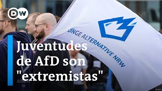 Justicia alemana ratifica posiciones radicales de la organización juvenil de la AfD