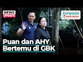 Puan dan AHY Bertemu di Hutan Kota GBK, Senayan