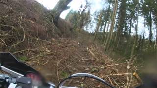 NWTRF  12jan14  Meifod part 1