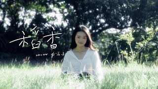 【 小石子】 周杰倫 Jay Chou | 稻香 Rice Field | 翻唱 cover