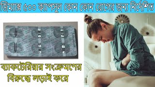 জিম্যাক্স ৫০০ ক্যাপসুল কোন কোন রোগের জন্য নির্দেশিত এবং এই ঔষধটি কিভাবে খেতে হবে বিস্তারিত।