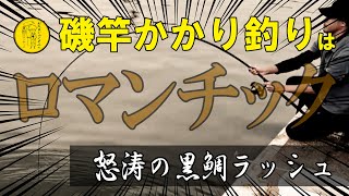 チヌ釣り【磯竿を使った堤防かかり釣りで怒涛の黒鯛ラッシュ】紀州釣りはまだまだ絶好調！貧乏オジの釣りブログep.020