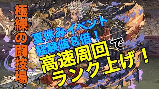 【パズドラ】極練の闘技場 転生呂布高速周回編