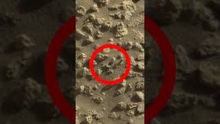 Mars - Curiosity - This image was taken by NASA'S Mars rover Curiosity #Shorts #worldtvhindi