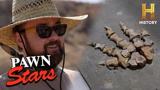 Pawn Stars: Rick and Chum Score a $5,000 Fossil (Season 21)