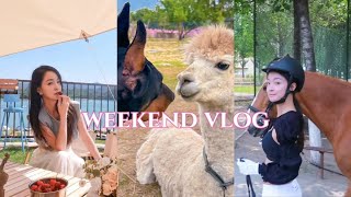 VLOG | 和我一起过周末吧，让自己开心最重要 露营+马术+狗公园