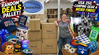 🤯 WE BOUGHT A RANDOM DEALS PALLET! USA 250, Camping Gear & Weird Finds!