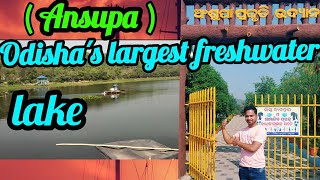 Ansupa lake(ଅଂଶୁପା ହ୍ରଦ) |Largest fresh water lake of odisha |picnic spot |Odisha Tourism |cuttack |