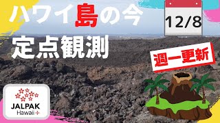 【ハワイの今】ハワイ島定点観測 2021年12月8日