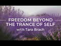 Freedom Beyond the Trance of Self with Tara Brach