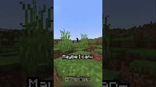 Minecraft, But Telling The Truth Decays The World...
