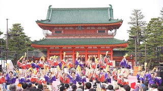 [4K] なるたか　京都さくらよさこい 2024 さくよさ 1日目 神宮道会場