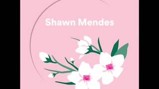 Shawn Mendes - Use Somebody Recorded at Spotify Studios (Acoustic version)