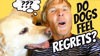 Are Dogs Capable of Regret? Testing Regret with Tula and Pippi
