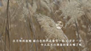 【芦花 】唐。雍裕之（简体）说说唱唱五言唐诗（夹岸复连沙，枝枝摇浪花。月明浑似雪，无处认渔家。）Tang Poetry