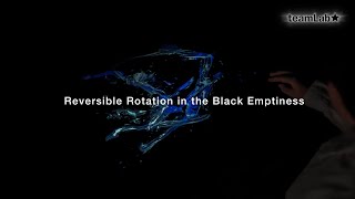 Reversible Rotation in the Black Emptiness