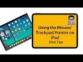 Adding a Mouse/Trackpad to your iPad and the Pointer settings (iPad OS 14)