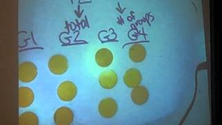 Modeling with Integer Chips Multiplication & Division