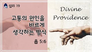 섭리 #19 / 고통의 원인을 바르게 생각하는 방식 [욥5:6]   @reformed_church    / 정대운목사 / 삼송제일교회 / 청교도개혁주의