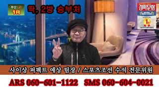 2월 14일 금요일 부산 제주 사이상 다이너마이트