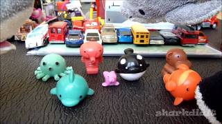 Shark's Sqwishy (Squishy) Sqwishland Collection