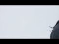"PokerFace" - Lady GaGa (performed by Cat Deluca) Black Dagger Unplugged