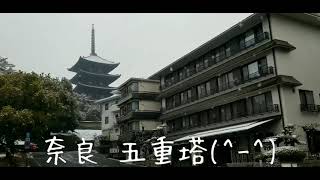 奈良✨五重の塔✨雪景色✨Five-storied pagoda snow scene Nara Japan