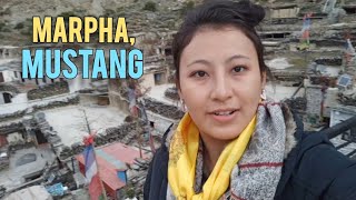 Marpha village, Mustang //Apple capital of Nepal // Nyingma Samtenling Gompa // Ancient village 💕