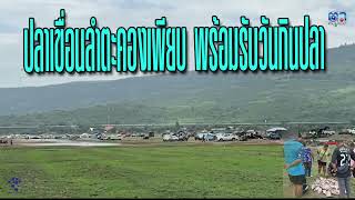 ปากช่อง ปลาเขื่อนลำตะคองเพียบ พร้อมรับวันกินปลา