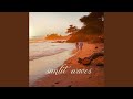 Sunlit Waves