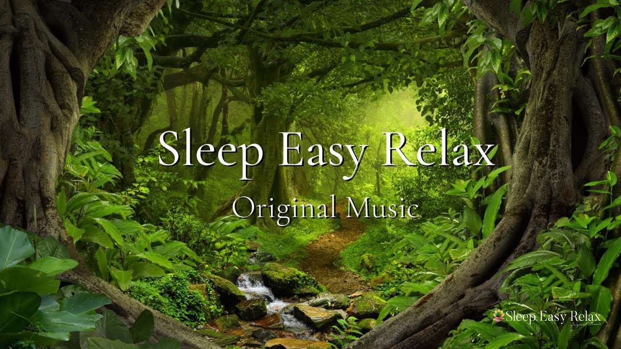 Relaxing Music Forest