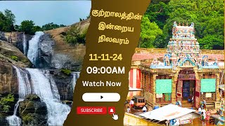 #JUSTIN | குற்றாலம் அருவியின் தற்போதைய நிலவரம் |  Live | Courtallam News | Daily Update | Tamil News