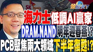 【精華】海力士成低調AI贏家 DRAM.NAND明年迎春燕！？誰有庫存誰受惠 PCB產業聚焦汽車板.伺服器 下半年復甦！？ #林信富 @tvbsmoney 20230831