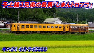 【予土線3兄弟の長男「しまんトロッコ」キハ54 4+トラ45000】