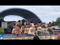 buala ward’s men’s dance zombie entrance 😂 isabel dance solomon islands