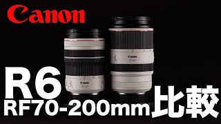 キヤノンEOSR6とRF70-200mm大三元と小三元を比べてみました。という件について