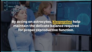 Molecular Pathway Discovered in Reproductive System Regulation Involving Kisspeptins \u0026 Astrocytes