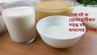 শুধু দুধ দিয়ে দই। দইয়ের বীজ ছাড়া টকদই। টকদই ও বীজ দই একসাথে। Doi Recipe / Tok Doi | Homemade yogurt