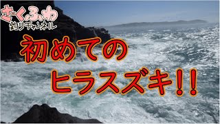 千葉の地磯で初めてヒラスズキを釣りました！【ロックショア】