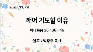 예일교회_yeil 2023.11.29 수요예배 메세지 \