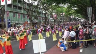 原宿よさこい連　～2010スーパーよさこい・２日目(表参道アベニュー)