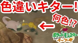 色違いイシツブテ！？金色きたー！【ポケモンLet'sGO！イーブイ】