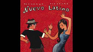Nuevo Latino ( Putumayo Version)