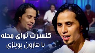 Concert Naway Mahalla with Haroon Popalzai / کنسرت نوای محله با هارون پوپلزی