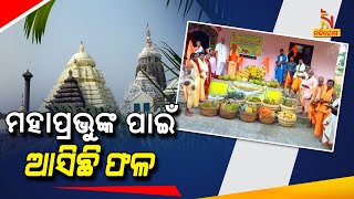 ମହାପ୍ରଭୁଙ୍କ ପାଇଁ ଆସିଲା ଫଳ ଭାର । NandighoshaTV