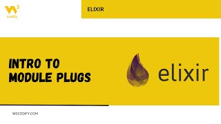 Intro to Module Plugs | Elixir | W3Codify