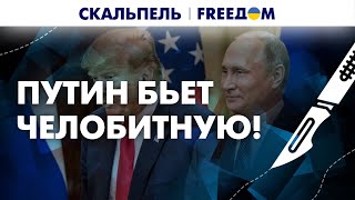 ⚡ Путин просится к ТРАМПУ на прием. БЕЛЫЙ ДОМ молчит и наблюдает | Скальпель