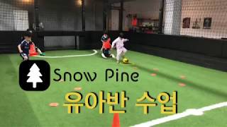 Snow Pine FC 유아반 수업 유아축구프로그램 유아체육 유아축구